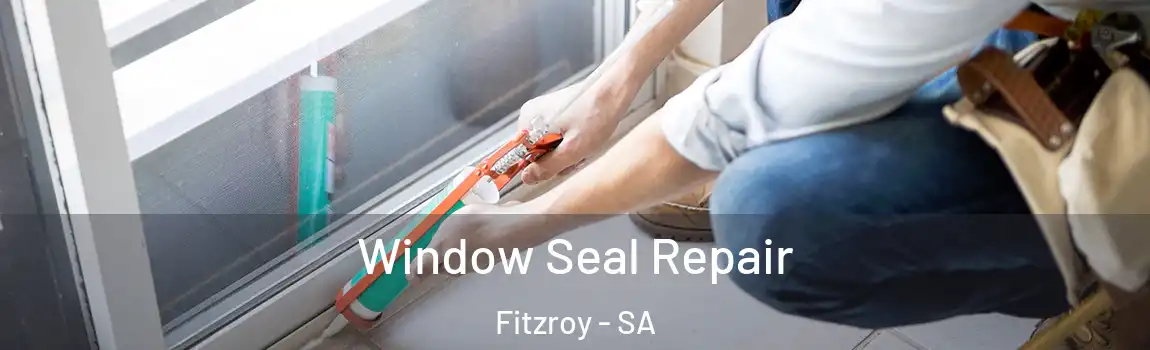 Window Seal Repair Fitzroy - SA