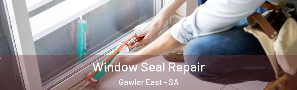 Window Seal Repair Gawler East - SA