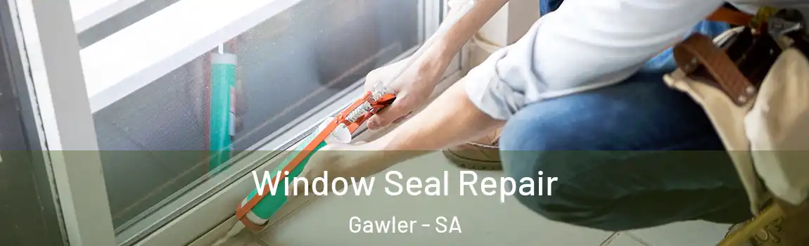  Window Seal Repair Gawler - SA