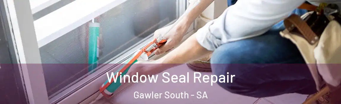 Window Seal Repair Gawler South - SA