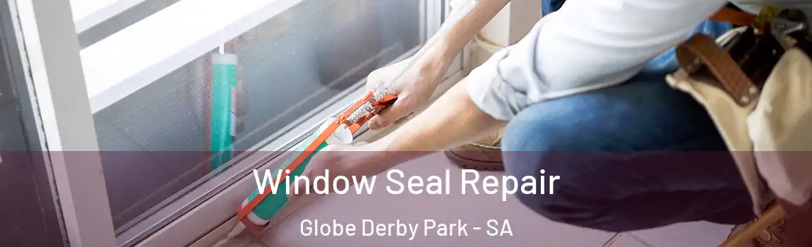  Window Seal Repair Globe Derby Park - SA