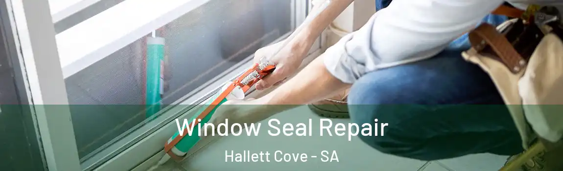  Window Seal Repair Hallett Cove - SA