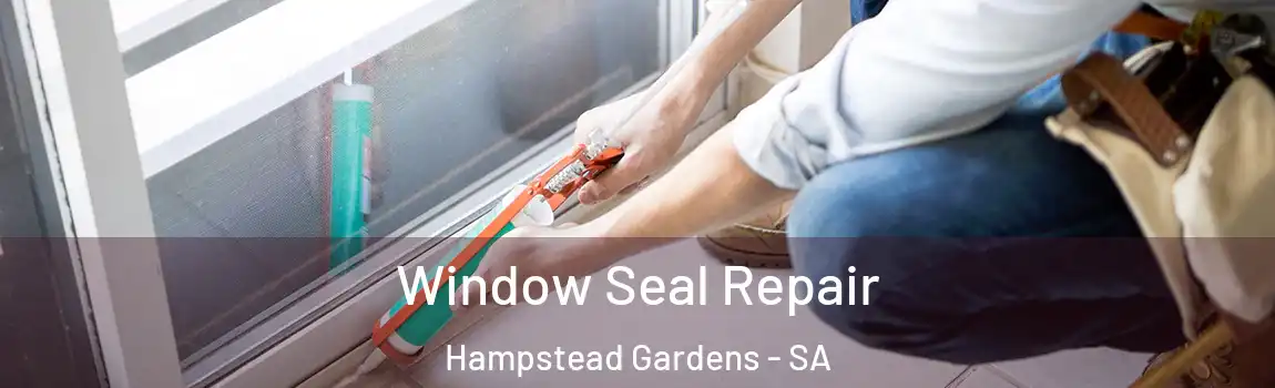 Window Seal Repair Hampstead Gardens - SA