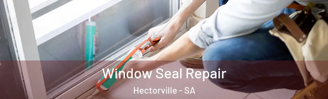  Window Seal Repair Hectorville - SA