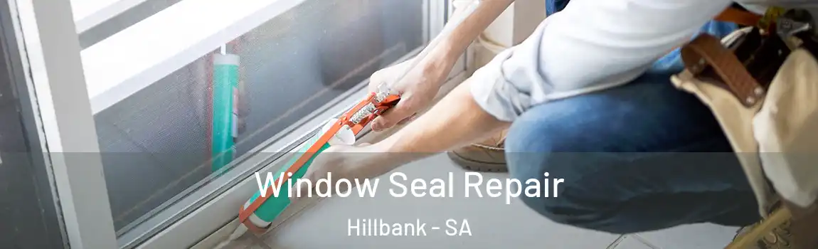 Window Seal Repair Hillbank - SA