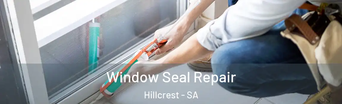  Window Seal Repair Hillcrest - SA