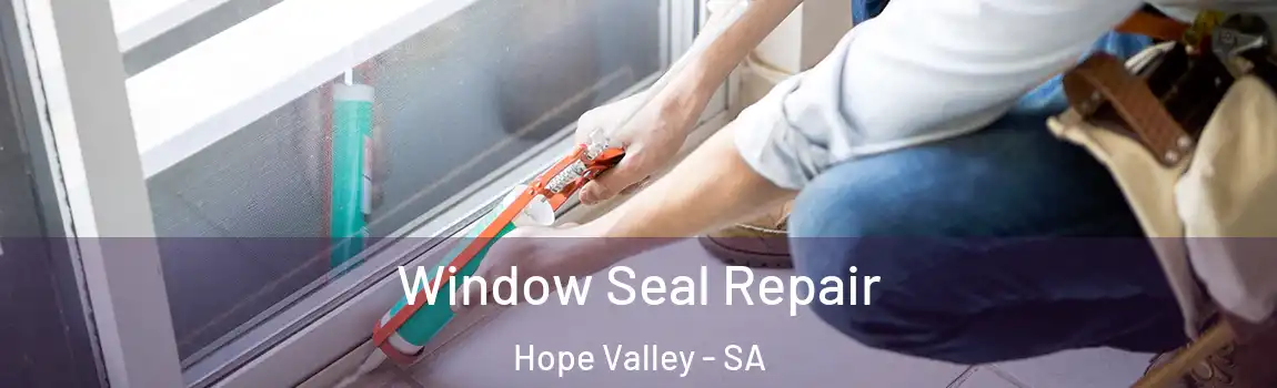 Window Seal Repair Hope Valley - SA