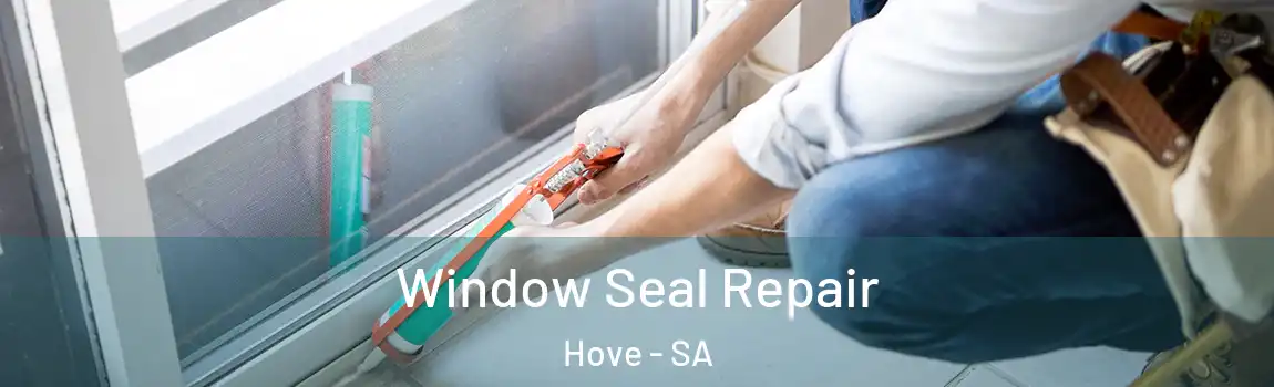 Window Seal Repair Hove - SA