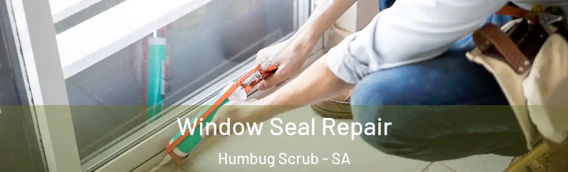  Window Seal Repair Humbug Scrub - SA
