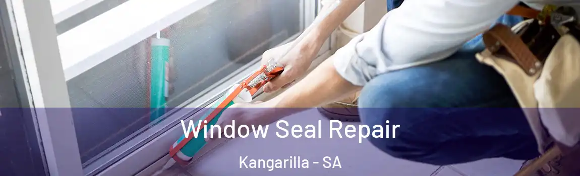  Window Seal Repair Kangarilla - SA