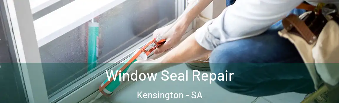  Window Seal Repair Kensington - SA