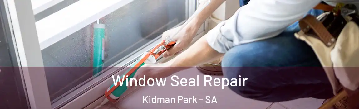 Window Seal Repair Kidman Park - SA