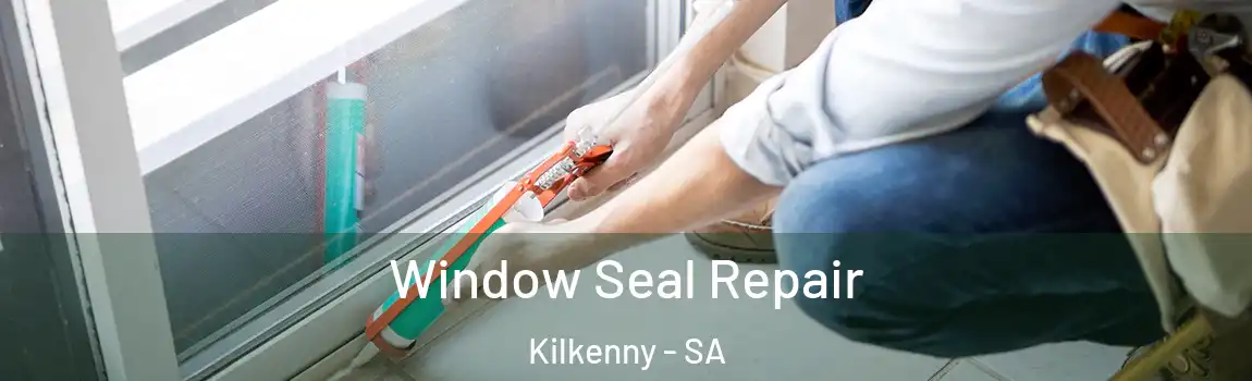  Window Seal Repair Kilkenny - SA