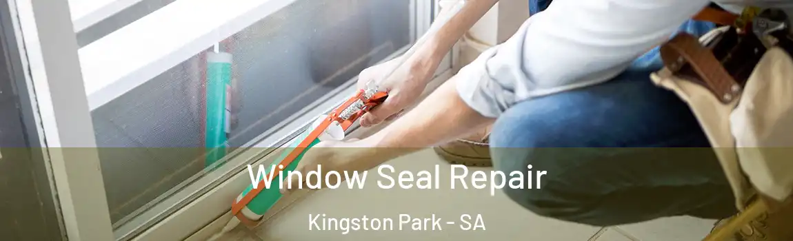 Window Seal Repair Kingston Park - SA