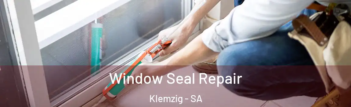 Window Seal Repair Klemzig - SA