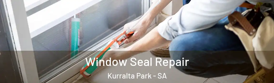  Window Seal Repair Kurralta Park - SA