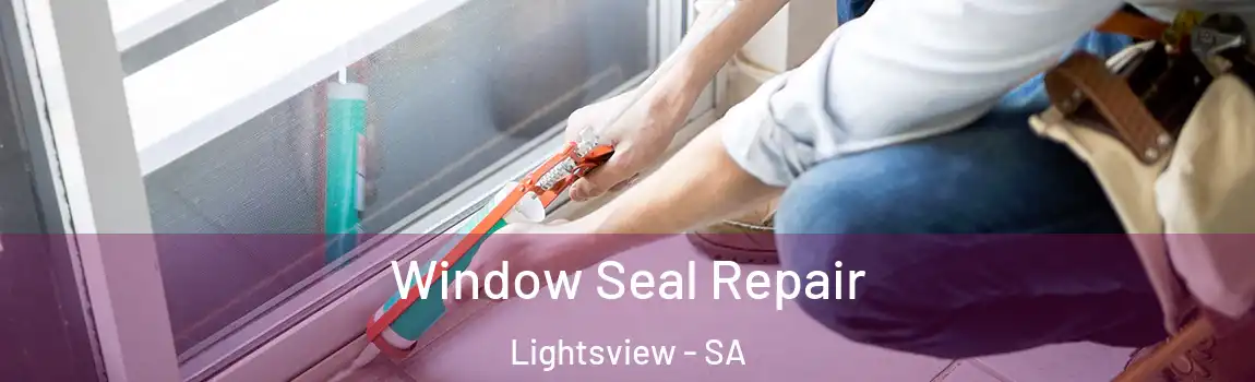  Window Seal Repair Lightsview - SA