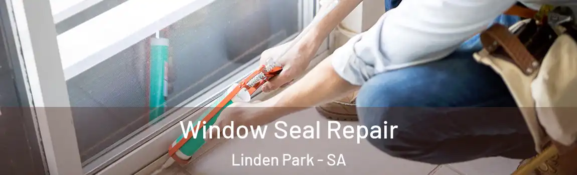  Window Seal Repair Linden Park - SA