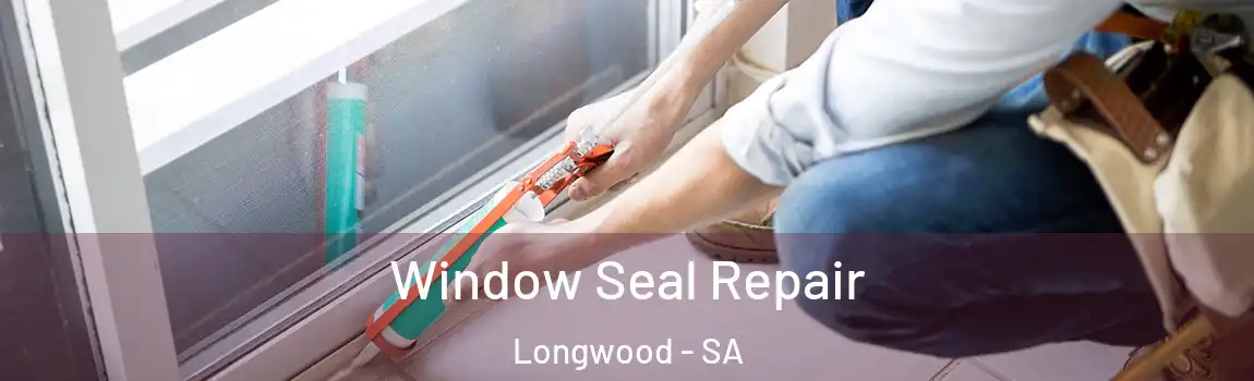  Window Seal Repair Longwood - SA