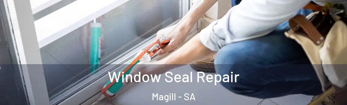  Window Seal Repair Magill - SA