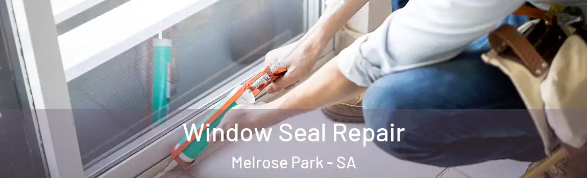 Window Seal Repair Melrose Park - SA