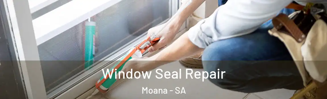  Window Seal Repair Moana - SA