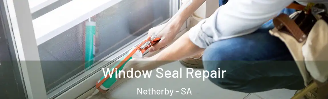Window Seal Repair Netherby - SA