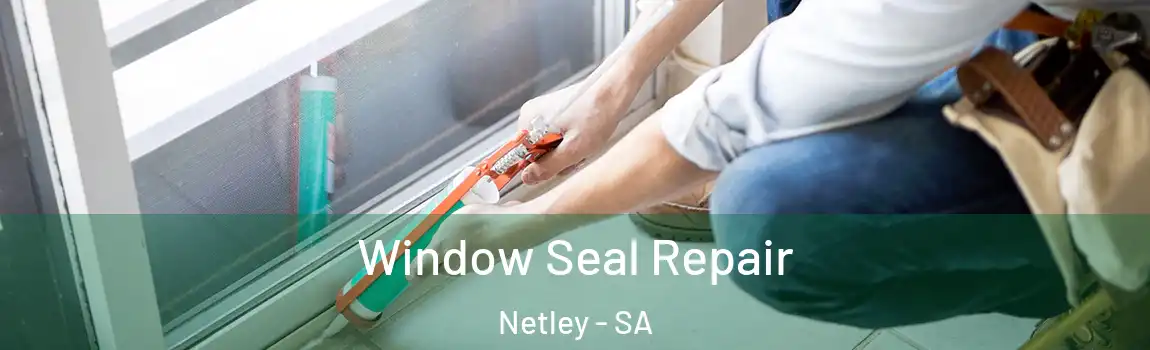  Window Seal Repair Netley - SA