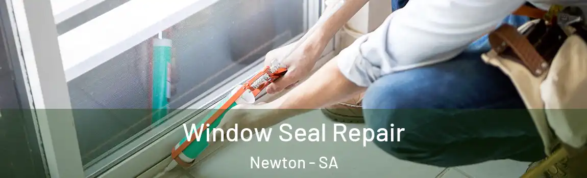  Window Seal Repair Newton - SA