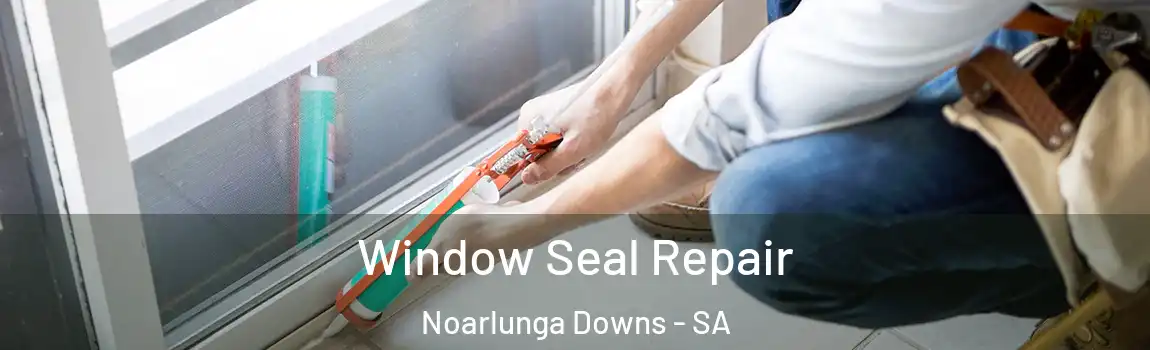  Window Seal Repair Noarlunga Downs - SA