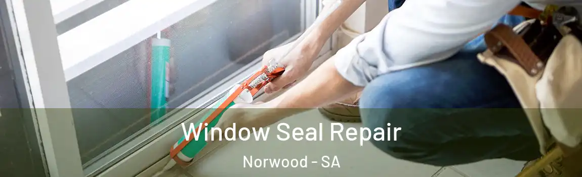  Window Seal Repair Norwood - SA