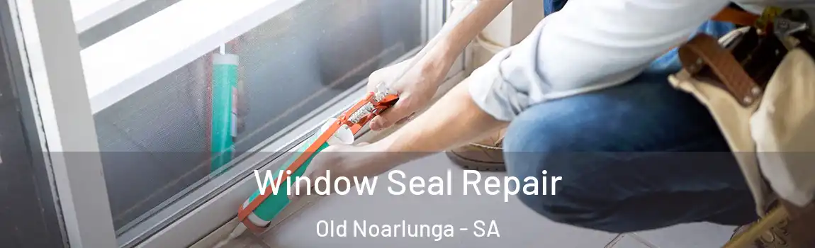  Window Seal Repair Old Noarlunga - SA
