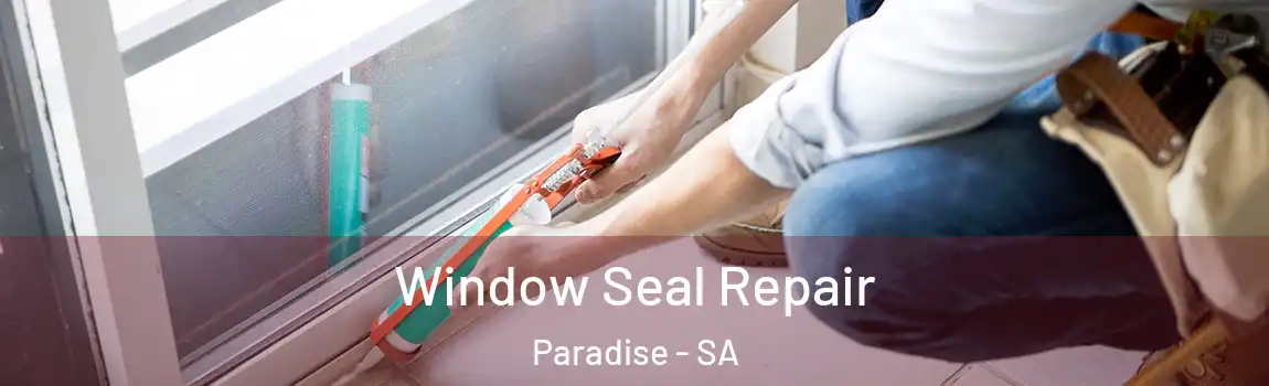  Window Seal Repair Paradise - SA