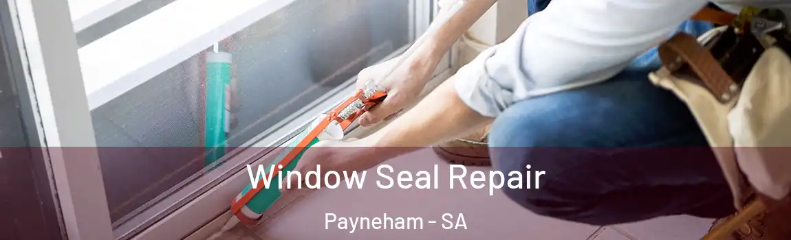  Window Seal Repair Payneham - SA