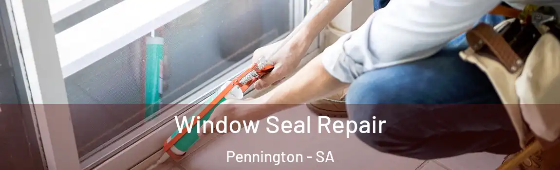 Window Seal Repair Pennington - SA