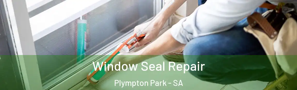 Window Seal Repair Plympton Park - SA