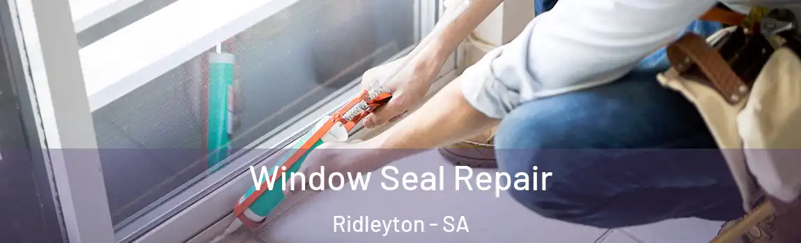 Window Seal Repair Ridleyton - SA
