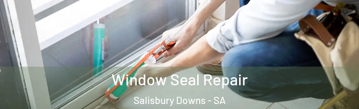 Window Seal Repair Salisbury Downs - SA