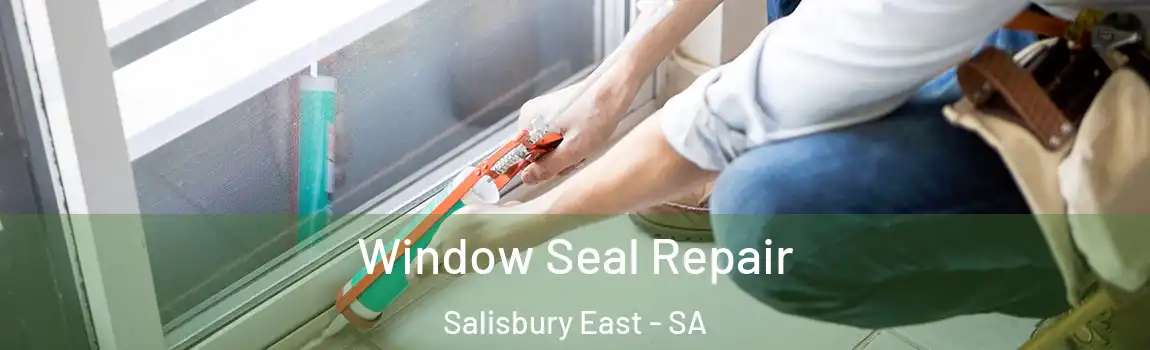 Window Seal Repair Salisbury East - SA