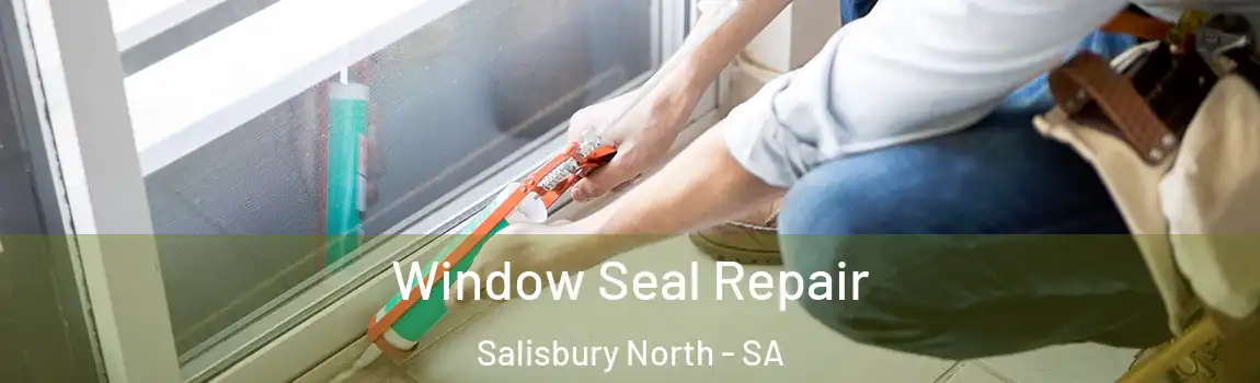 Window Seal Repair Salisbury North - SA