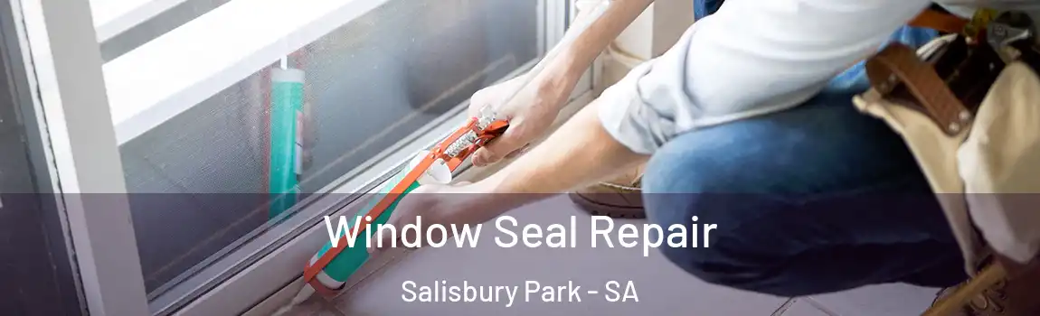 Window Seal Repair Salisbury Park - SA