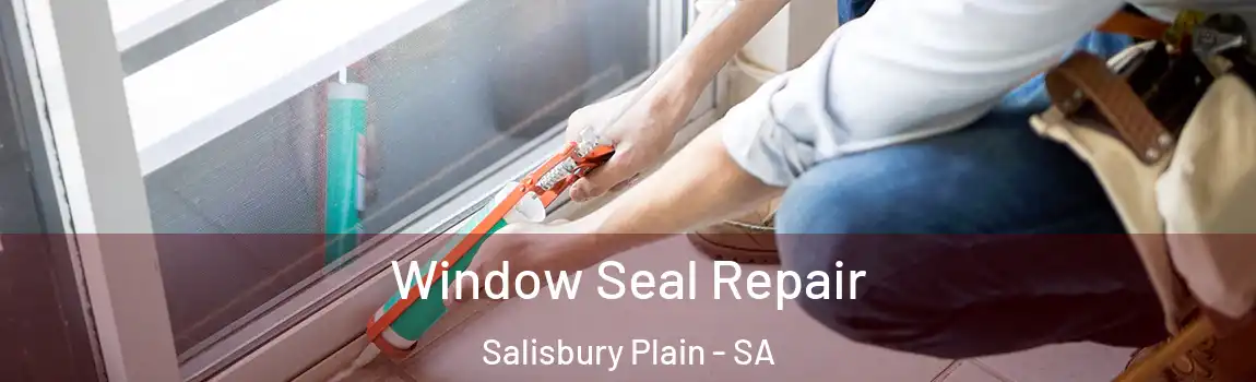  Window Seal Repair Salisbury Plain - SA
