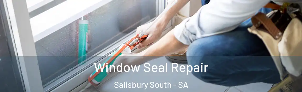 Window Seal Repair Salisbury South - SA