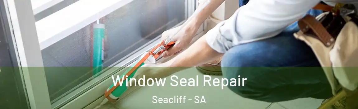  Window Seal Repair Seacliff - SA