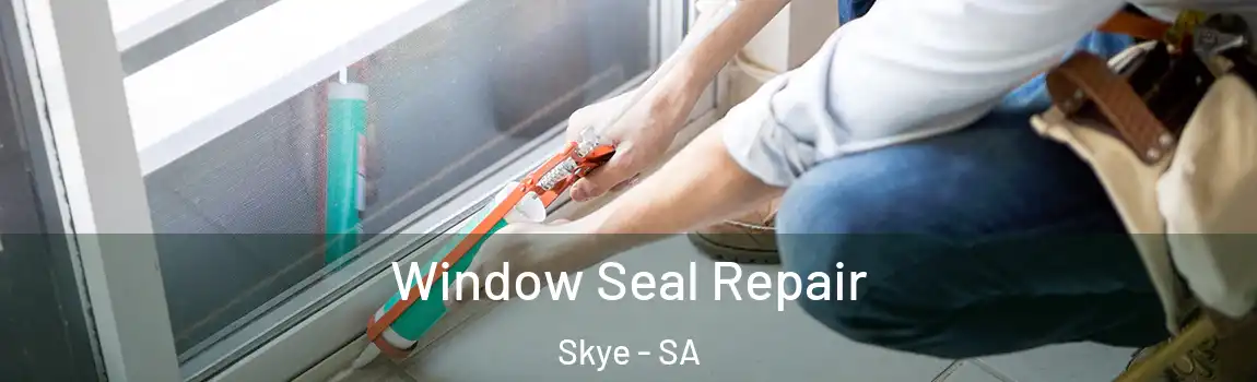  Window Seal Repair Skye - SA