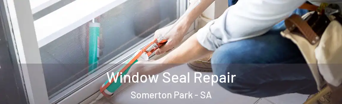 Window Seal Repair Somerton Park - SA