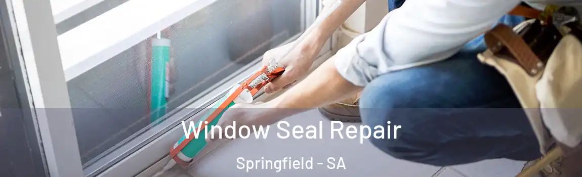  Window Seal Repair Springfield - SA