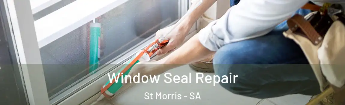  Window Seal Repair St Morris - SA