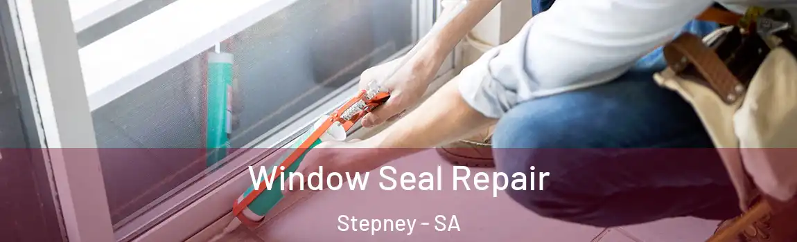  Window Seal Repair Stepney - SA
