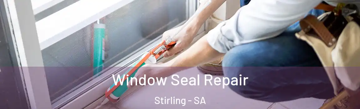  Window Seal Repair Stirling - SA